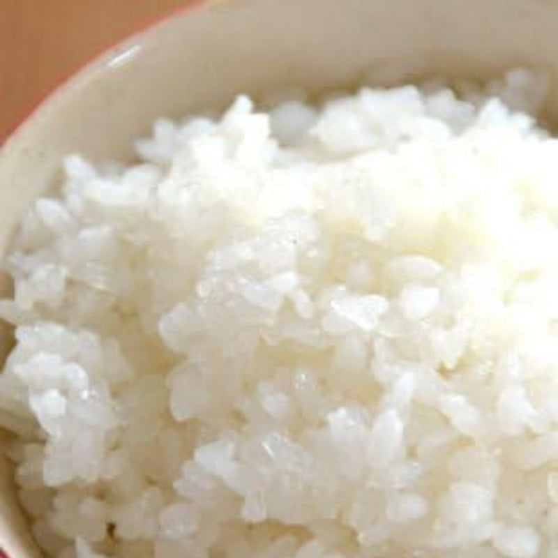 Dried Konjac Granular